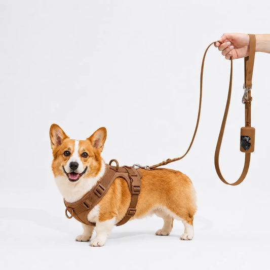 The MONTI Corgi Complete Walk Set