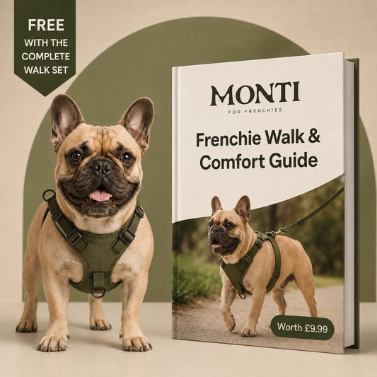 The Frenchie Walk & Comfort Guide