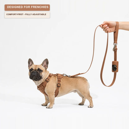 The MONTI Frenchie Harness
