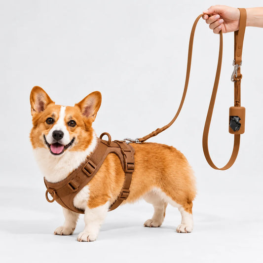 MONTI Matching Waterproof Leash + FREE poop bag holder