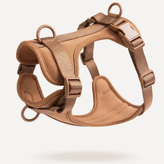 The MONTI Frenchie Harness