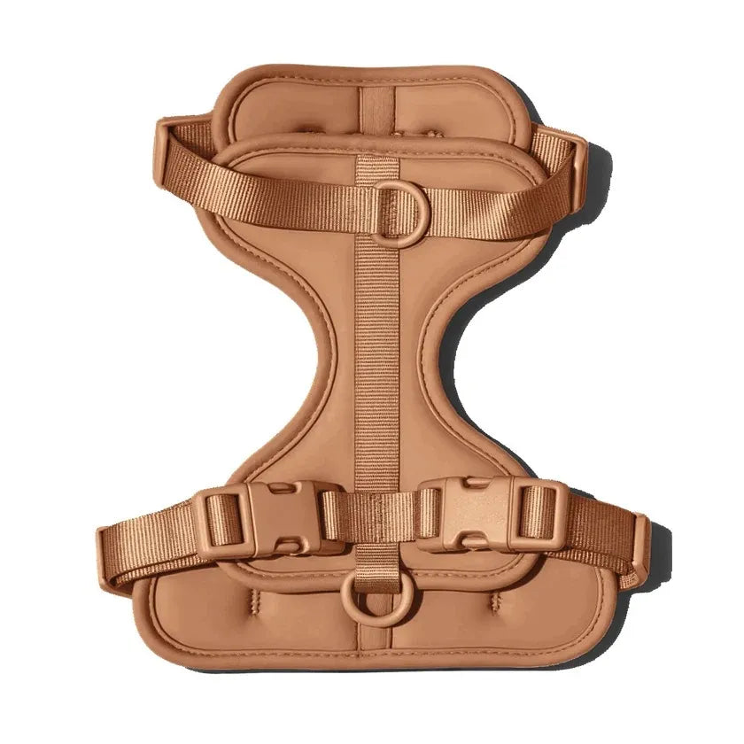 The MONTI Corgi Harness