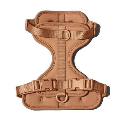 The MONTI Corgi Harness