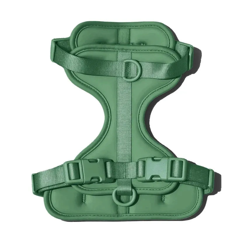 The MONTI Corgi Harness
