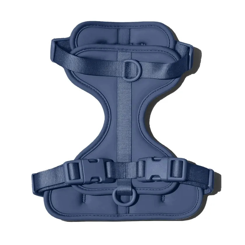 The MONTI Corgi Harness