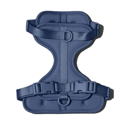 The MONTI Corgi Harness
